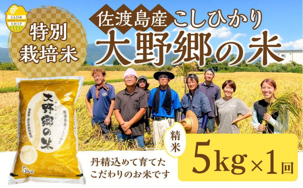 【令和7年産】佐渡島産&nbsp;特別栽培米こしひかり「大野郷の米」&nbsp;精米5kg×１袋