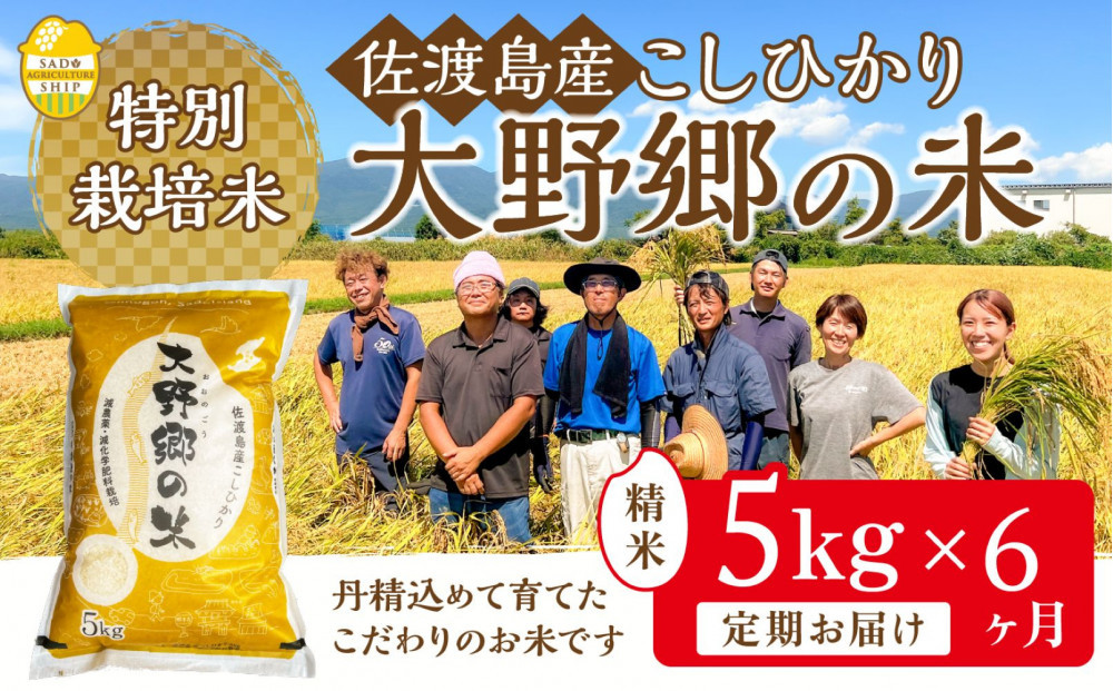 【令和７年産】佐渡島産&nbsp;特別栽培米こしひかり「大野郷の米」精米5kg×6回&nbsp;定期お届けコース