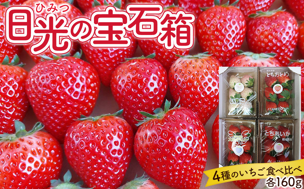 ひみつ（日光）の宝石箱&nbsp;4種類の苺の食べ比べ&nbsp;セット&nbsp;【2026年1月初旬より順次発送】&nbsp;｜フルーツ&nbsp;いちご&nbsp;苺&nbsp;期間限定&nbsp;とちおとめ&nbsp;スカイベリー&nbsp;とちあいか&nbsp;ミルキーベリー&nbsp;栃木&nbsp;産地直送&nbsp;産直