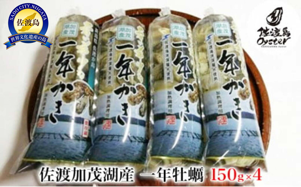 【佐渡加茂湖産】一年牡蠣　むき身（150g×4袋）