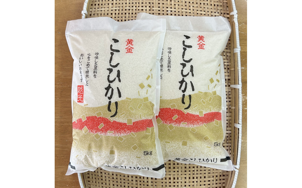 【ふるさと納税】お米　令和7年産　出雲コシヒカリ5k×２袋