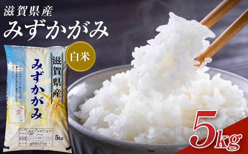 【令和7年産】近江米みずかがみ白米5kg