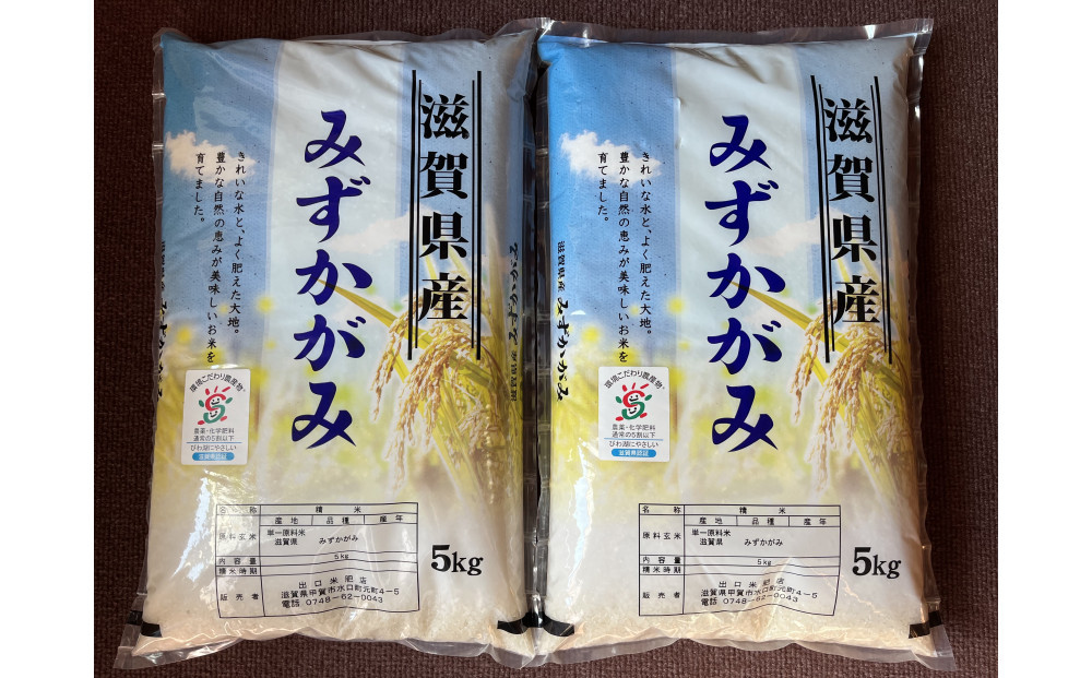 【令和7年産】近江米みずかがみ白米10kg（5kg×2袋）