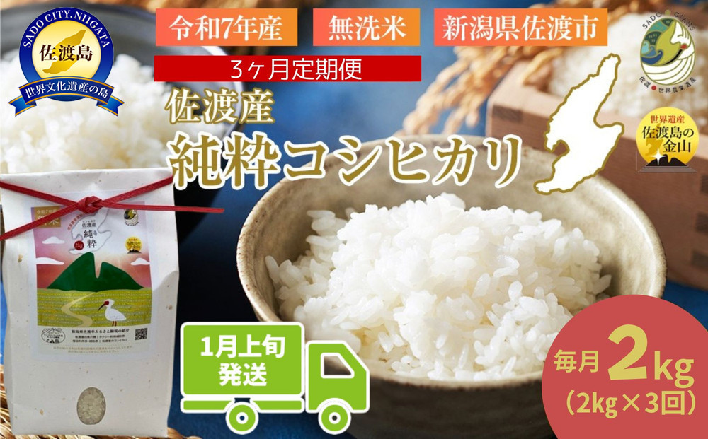 ＜定期便3回＞【令和７年産・数量限定】新潟県佐渡産の純粋コシヒカリ　精米【無洗米】2kg×3回　送料無料　R8年1月上旬～R8年3月上旬の3回送付