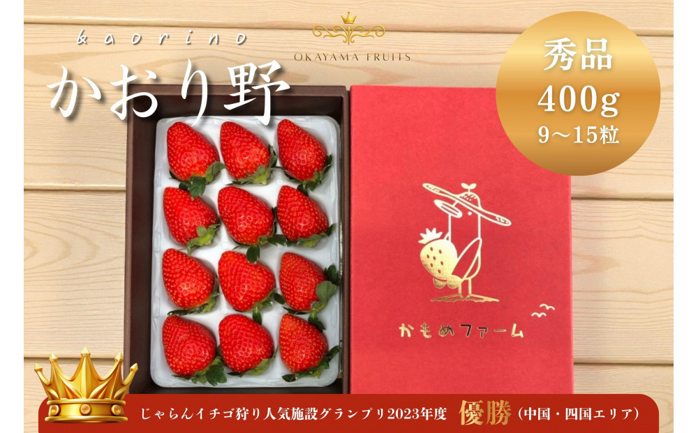 かもめファーム&nbsp;かおり野&nbsp;化粧箱&nbsp;400g（9～15粒）岡山県産&nbsp;いちご&nbsp;秀品