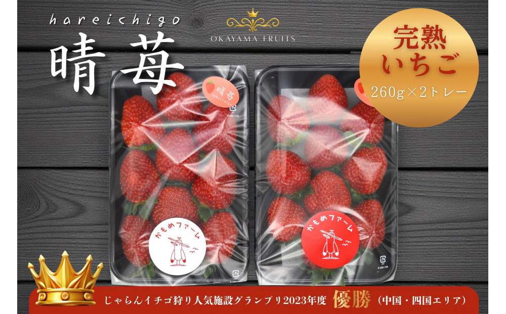 かもめファーム&nbsp;完熟いちご&nbsp;晴苺&nbsp;黒トレー260g×2&nbsp;岡山県産&nbsp;いちご