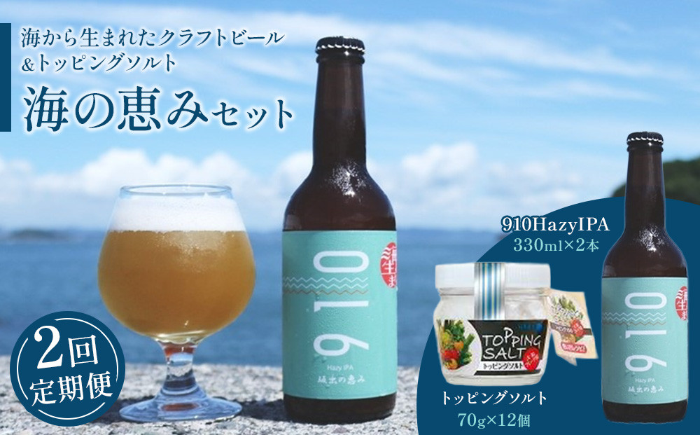 【全2回発送】日本海水　海の恵みセット（【1回目】はクラフト発泡酒「９１０」330&nbsp;ml&nbsp;×&nbsp;2本&nbsp;【2回目】はトッピングソルト70g&nbsp;×&nbsp;12個　をお届け）