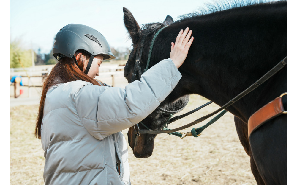 馬とのふれあい・乗馬体験コース（2名）