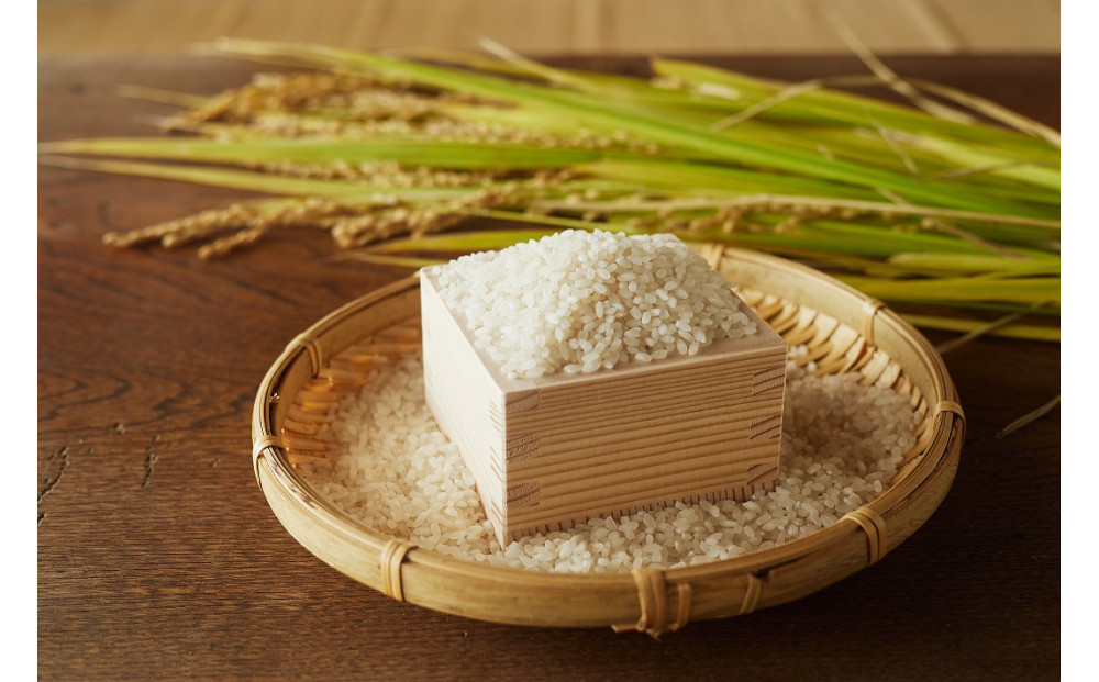 【令和7年産先行予約】「にじのきらめき」白米・5kg