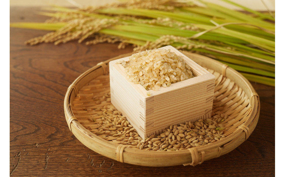 【令和7年産先行予約】「にじのきらめき」玄米・5kg