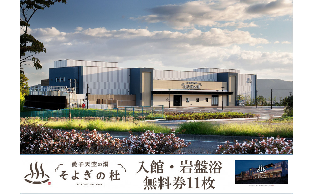 【ふるさと納税】愛子天空の湯 そよぎの杜 入館・岩盤浴無料券11枚　温泉 露天風呂 サウナ 日帰り 天然温泉 観光 旅行 旅 回数券 入浴券 仙台市　