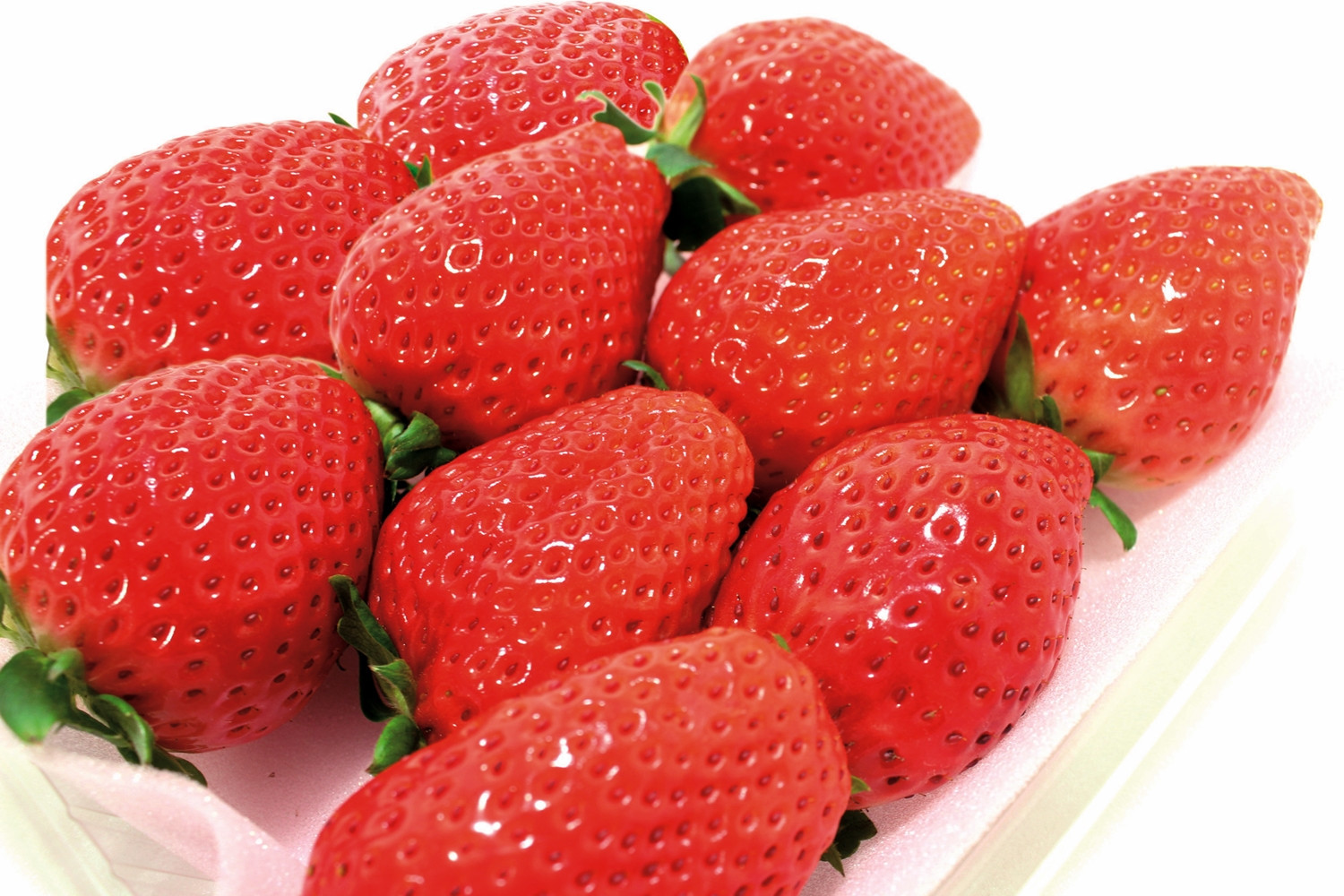 【2026年1月上旬～3月下旬発送予定】厳選！栃木市の「スカイベリー」1シート280g×2パック【フルーツ 果物 くだもの 食品 人気 おすすめ 】