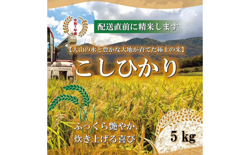 令和7年&nbsp;鳥取県産&nbsp;山崎農園こしひかり&nbsp;5kg