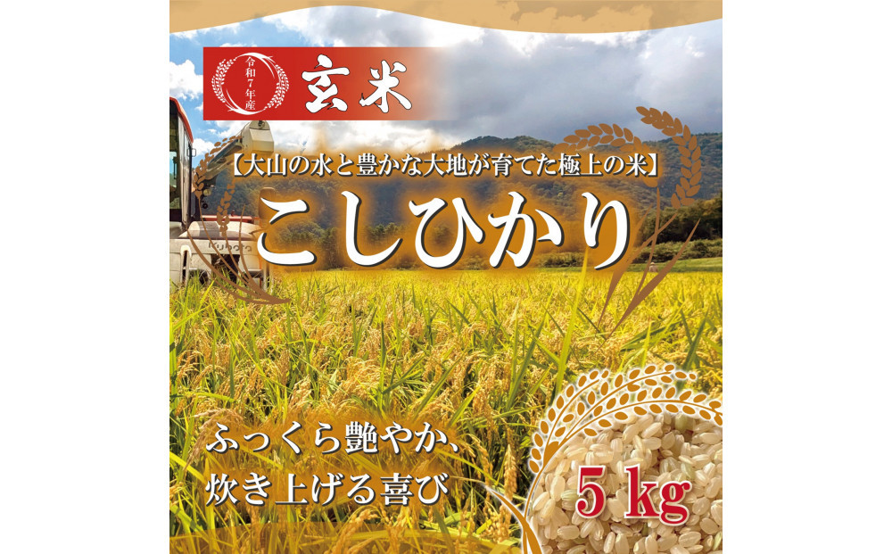 令和7年&nbsp;鳥取県産&nbsp;山崎農園こしひかり玄米5kg
