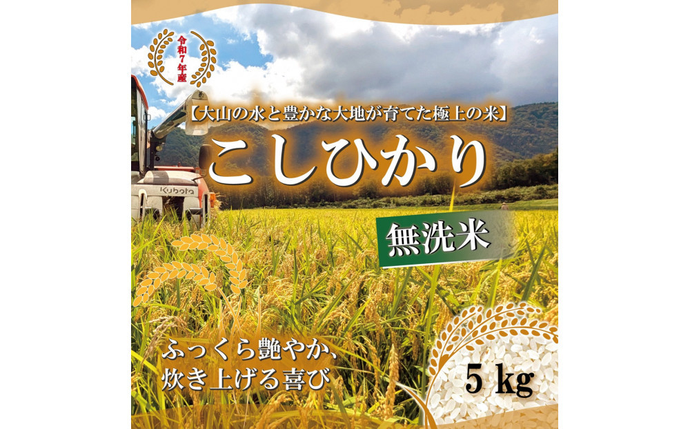令和7年&nbsp;鳥取県産&nbsp;山崎農園こしひかり無洗米5kg
