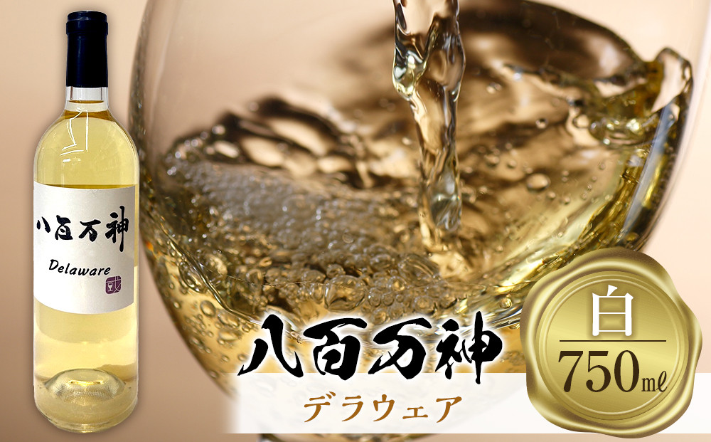 白ワイン 八百万神  デラウェア 2024 八百万神（Yaoyorozu）