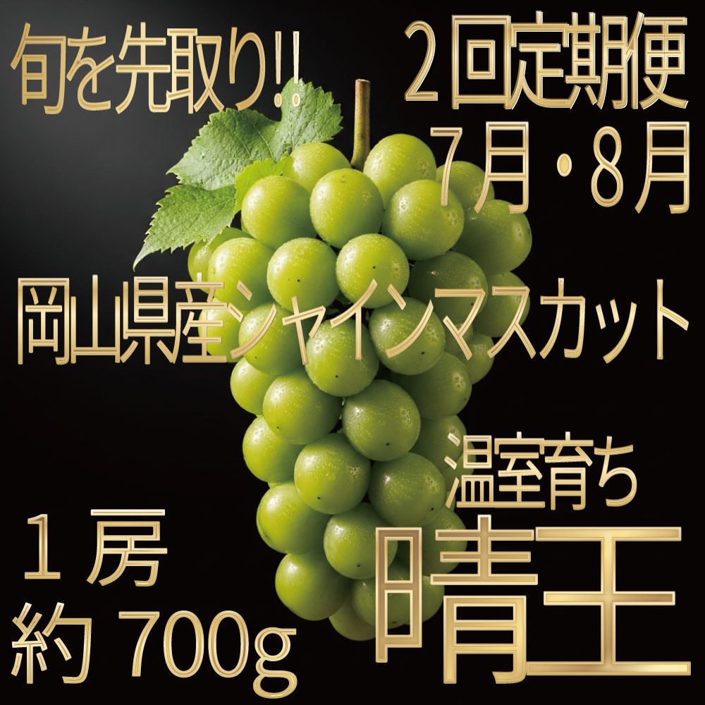 [HS]【定期便&nbsp;全2回】ぶどう&nbsp;2026年&nbsp;先行予約&nbsp;7月・8月発送&nbsp;温室シャイン&nbsp;マスカット&nbsp;晴王&nbsp;1房&nbsp;約700g