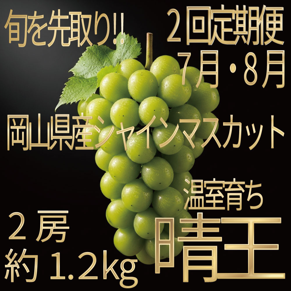 [HS]【定期便&nbsp;全2回】ぶどう&nbsp;2026年&nbsp;先行予約&nbsp;7月・8月発送&nbsp;温室シャイン&nbsp;マスカット&nbsp;晴王&nbsp;2房&nbsp;（合計約1.2kg）