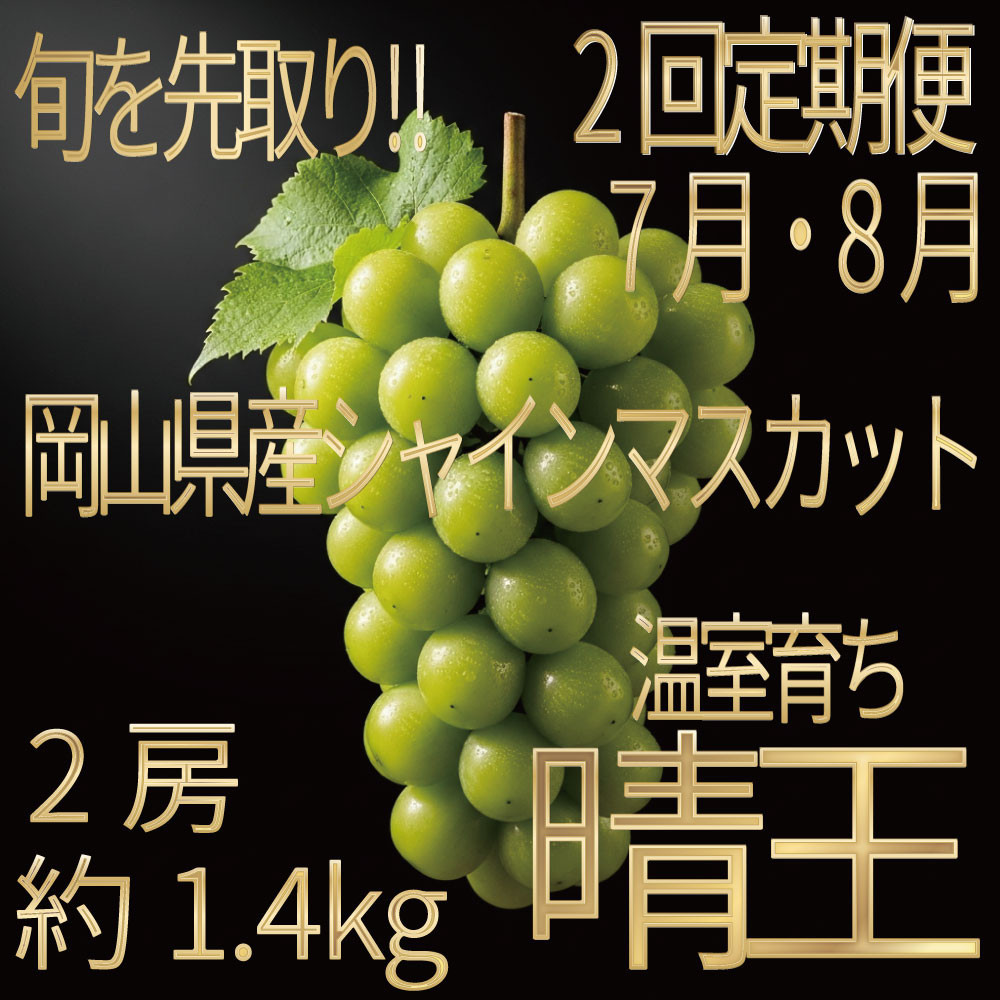[HS]【定期便&nbsp;全2回】ぶどう&nbsp;2026年&nbsp;先行予約&nbsp;7月・8月発送&nbsp;温室シャイン&nbsp;マスカット&nbsp;晴王&nbsp;2房&nbsp;（合計約1.4kg）