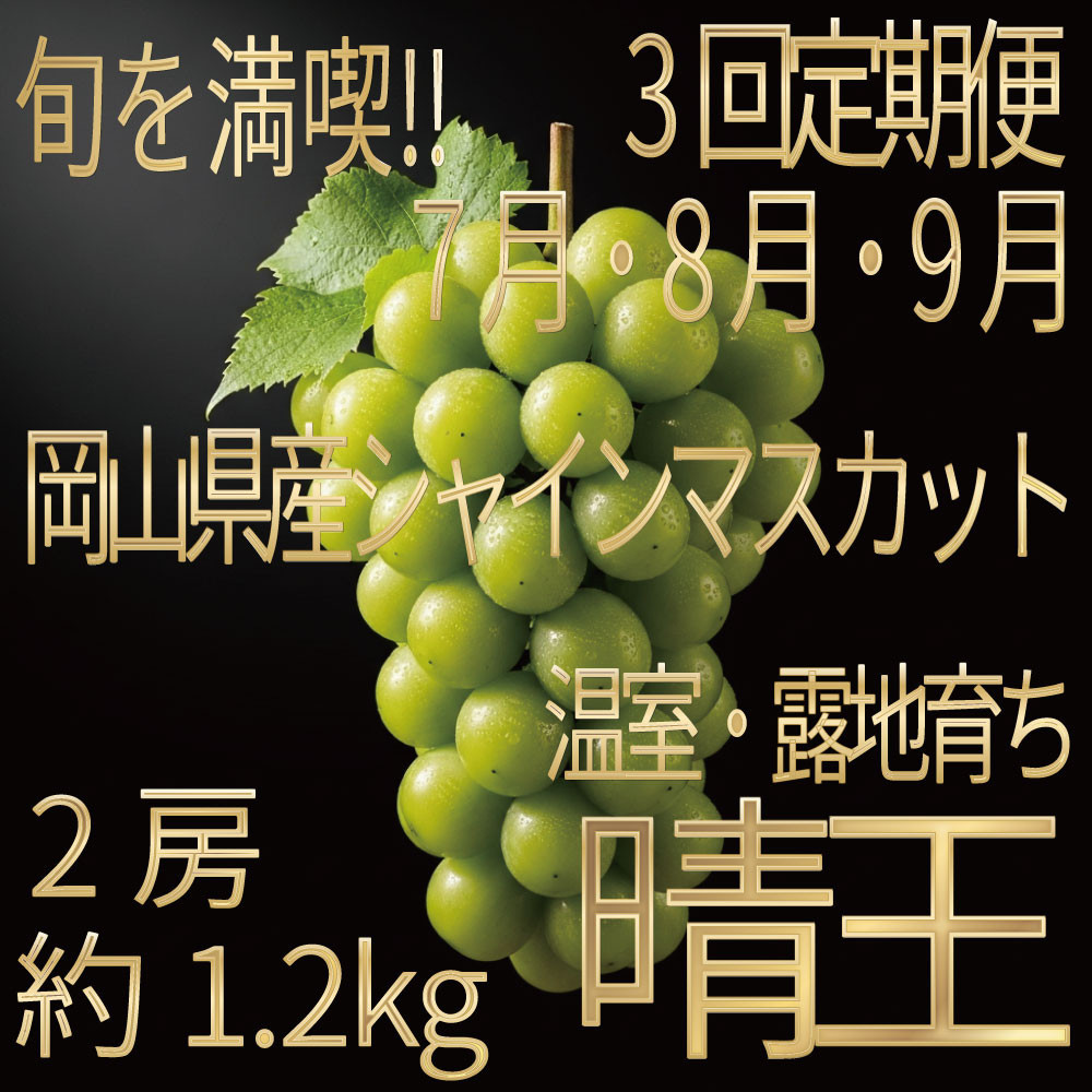 [HS]【定期便&nbsp;全3回】ぶどう&nbsp;2026年&nbsp;先行予約&nbsp;7月・8月・9月発送&nbsp;温室シャイン&nbsp;マスカット&nbsp;晴王&nbsp;2房&nbsp;（合計約1.2kg）
