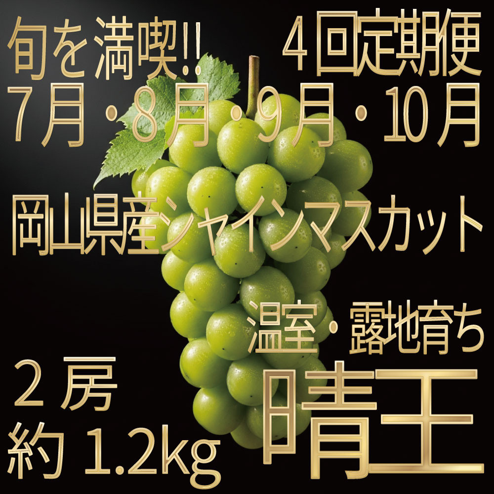 [HS]【定期便&nbsp;全4回】ぶどう&nbsp;2026年&nbsp;先行予約&nbsp;7月・8月・9月・10月発送&nbsp;温室シャイン&nbsp;マスカット&nbsp;晴王&nbsp;2房&nbsp;（合計約1.2kg）