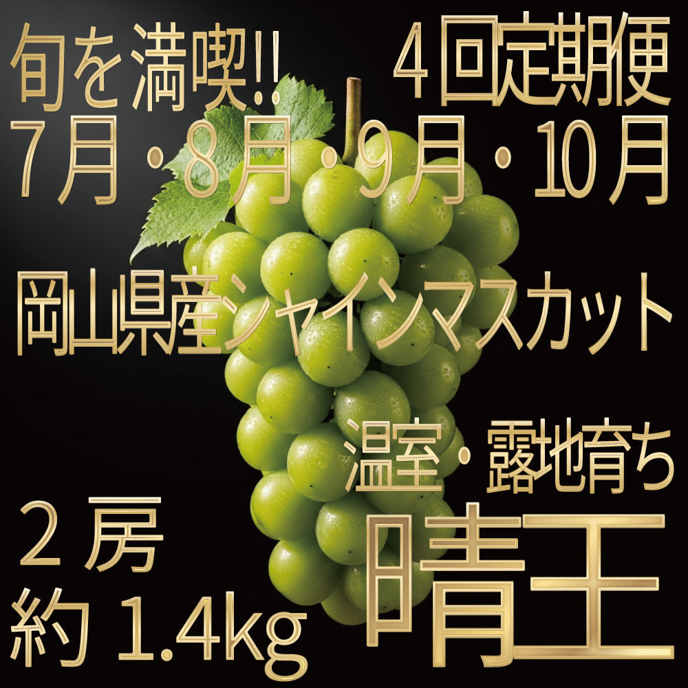 [HS]【定期便&nbsp;全4回】ぶどう&nbsp;2026年&nbsp;先行予約&nbsp;7月・8月・9月・10月発送&nbsp;温室シャイン&nbsp;マスカット&nbsp;晴王&nbsp;2房&nbsp;（合計約1.4kg）