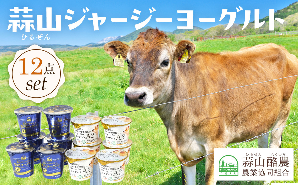 &nbsp;蒜山ジャージーヨーグルト&nbsp;12点セット（H-972）【&nbsp;ヨーグルト&nbsp;飲むヨーグルト&nbsp;蒜山のジャージー牛&nbsp;蒜山&nbsp;乳製品&nbsp;朝食&nbsp;贅沢&nbsp;おすすめ&nbsp;岡山県&nbsp;】