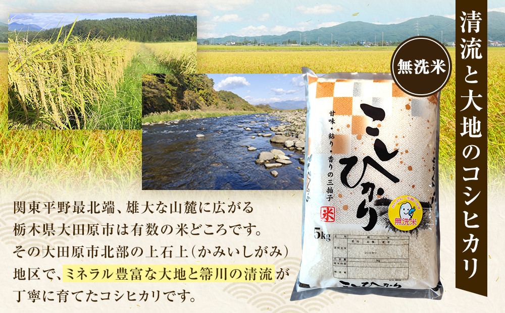 令和7年産 大田原市 藤田farmのコシヒカリ 【無洗米】 5kg ｜栃木県産