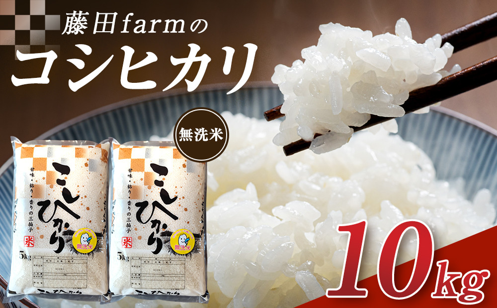 令和7年産 大田原市 藤田farmのコシヒカリ 【無洗米】 10kg ｜栃木県産 米 お米  コメ こしひかり コシヒカリ 栃木県 【選べる容量】5kg 10kg  数量限定
