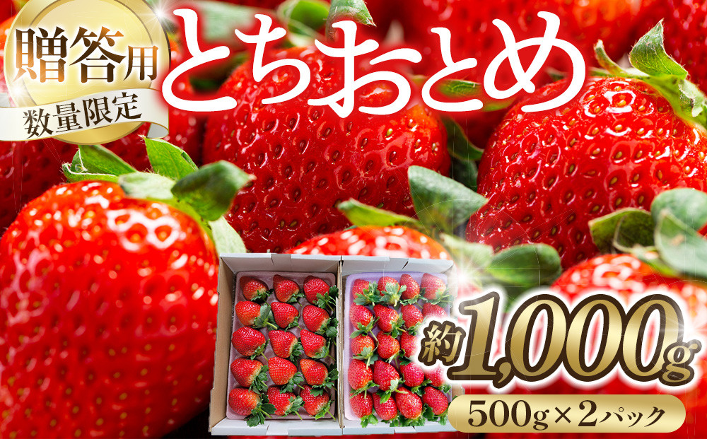 【贈答用・数量限定】とちおとめ　いちご　約1kg（約500g×2パック）1パック　15粒または20粒