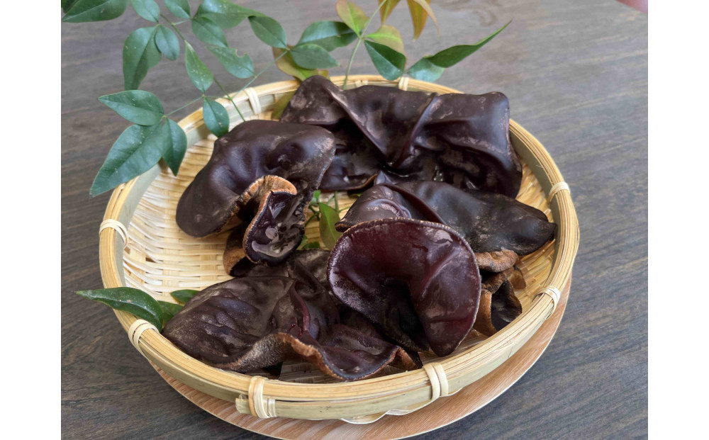 【鳥取県産】生きくらげ&nbsp;1kg