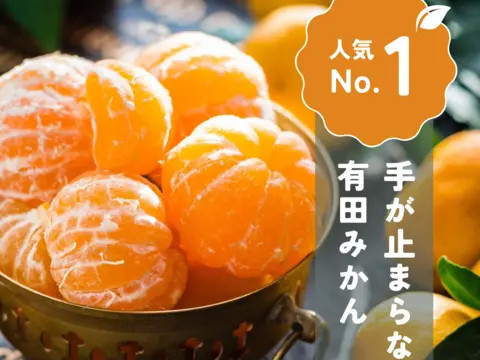手が止まらない 訳あり 有田みかん 約3kg 大きさ無選別（2S〜3L） 糖度11度以上 鳴川農園