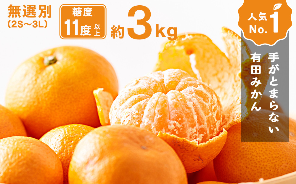 手が止まらない&nbsp;訳あり&nbsp;有田みかん&nbsp;約3kg&nbsp;大きさ無選別（2S〜3L）&nbsp;糖度11度以上&nbsp;鳴川農園&nbsp;　［2026年11月以降発送予定］