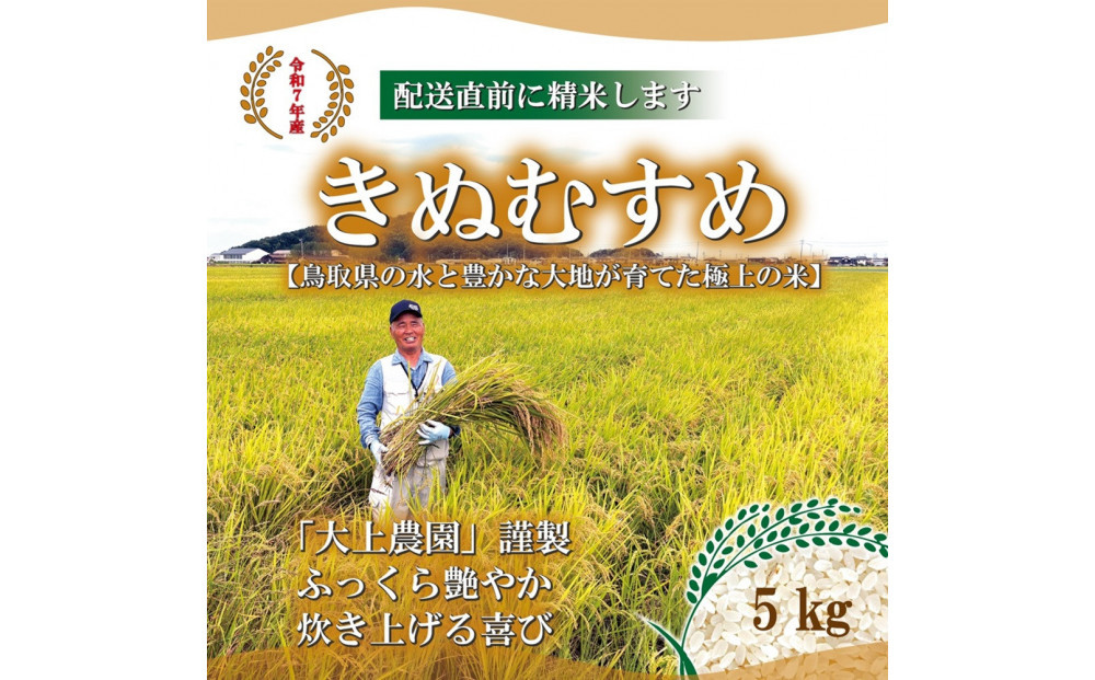 令和7年産　大上農園きぬむすめ&nbsp;5kg