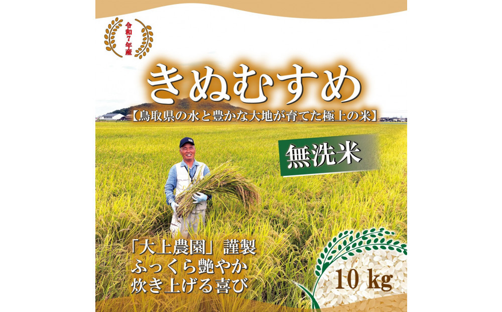 令和7年産　大上農園きぬむすめ無洗米10kg