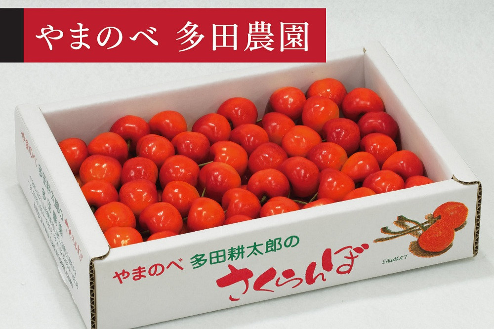 ＜先行予約＞【紅秀峰】バラ詰&nbsp;700g【やまのべ多田耕太郎のさくらんぼ&nbsp;多田農園】