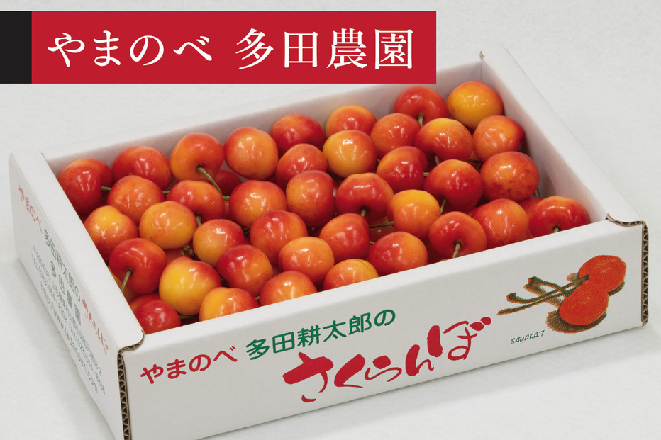 ＜先行予約＞【レーニア】バラ詰&nbsp;700g【やまのべ多田耕太郎のさくらんぼ&nbsp;多田農園】
