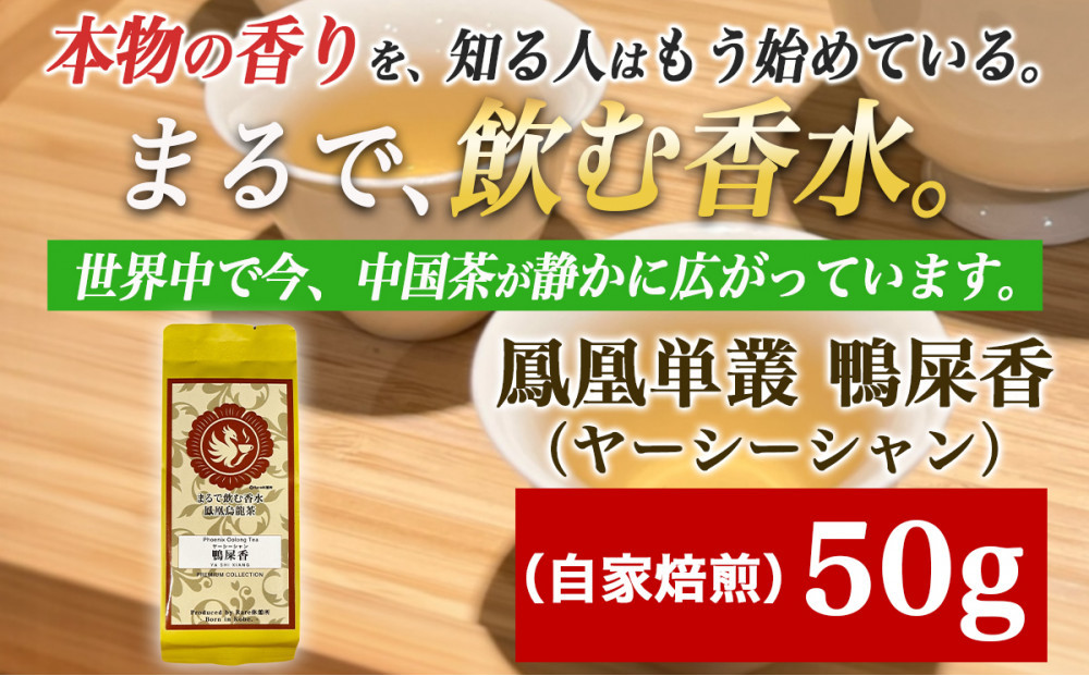 【まるで飲む香水&nbsp;鳳凰烏龍茶】ライチのように甘く、花束のように気高い香り。自家焙煎&nbsp;鴨屎香&nbsp;50g（やーしーしゃん）&nbsp;｜中国茶