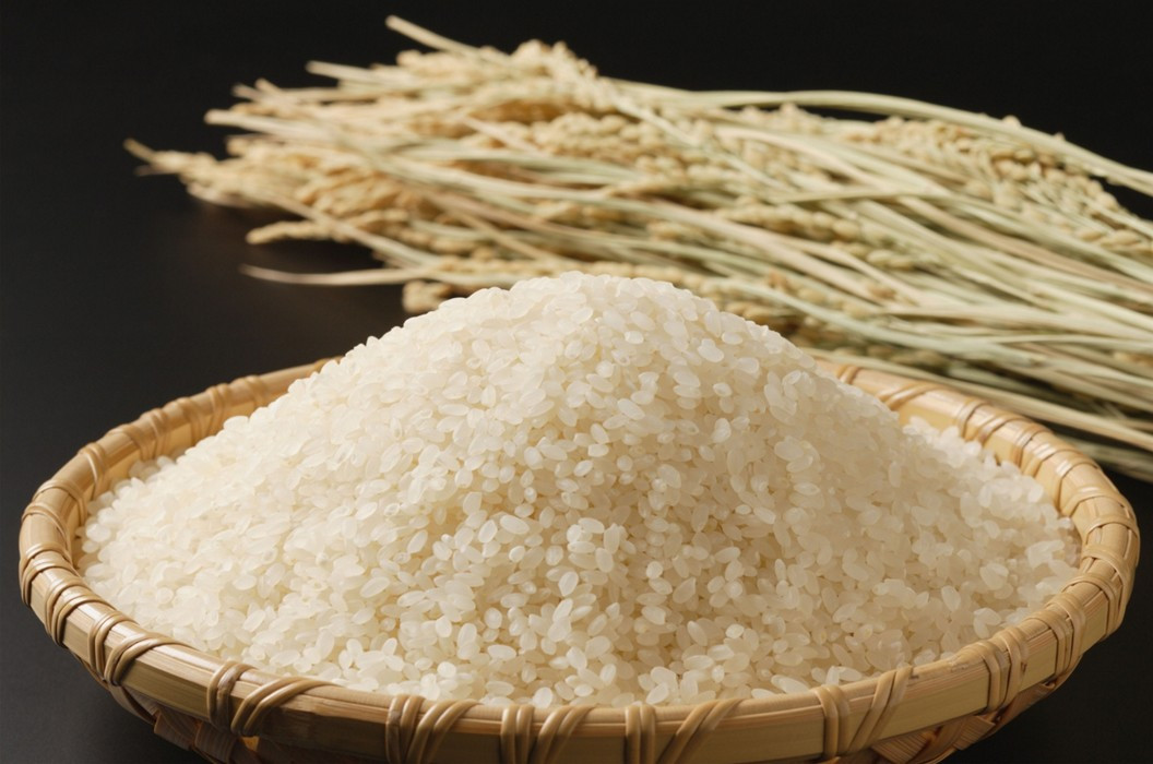 あぐりん村の令和7年度産&nbsp;愛知県長久手市産「あいちのかおり」精米5kg&nbsp;|長久手市&nbsp;あぐりん村&nbsp;長久手産&nbsp;あいちのかおり&nbsp;精米5kg&nbsp;ブランド米&nbsp;人気&nbsp;おすすめ&nbsp;ギフト&nbsp;プレゼント&nbsp;お取り寄せ&nbsp;通販&nbsp;送料無料&nbsp;ふるさと納税