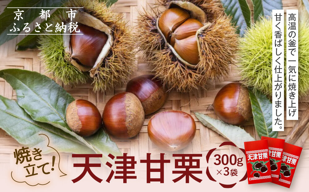 焼き立て!&nbsp;天津甘栗300g×3袋｜京都&nbsp;甘栗&nbsp;人気［&nbsp;天津甘栗&nbsp;自然な甘さ&nbsp;自然食品&nbsp;国内製造&nbsp;おいしい&nbsp;グルメ&nbsp;人気&nbsp;おすすめ&nbsp;ギフト&nbsp;プレゼント&nbsp;贈答&nbsp;お取り寄せ&nbsp;通販&nbsp;送料無料&nbsp;ふるさと納税&nbsp;］