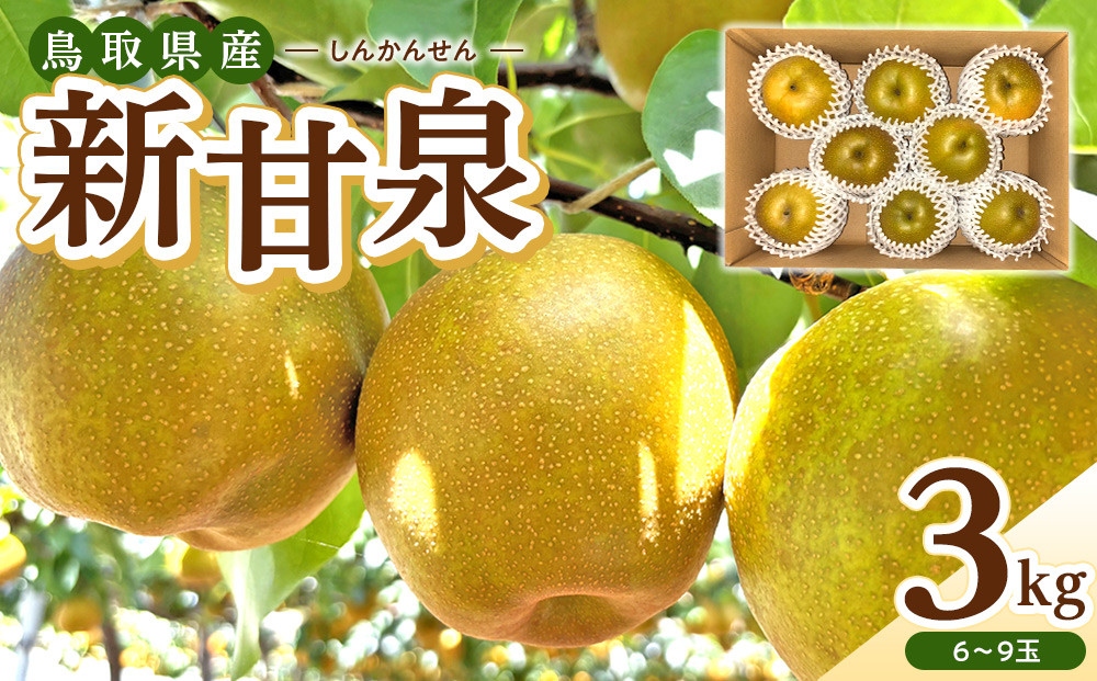 【数量限定】2026年度発送&nbsp;先行予約&nbsp;新甘泉&nbsp;3kg【梨&nbsp;なし&nbsp;しんかんせん&nbsp;3キロ&nbsp;限定&nbsp;令和8年&nbsp;先行受付&nbsp;新鮮&nbsp;鳥取県産&nbsp;鳥取県&nbsp;北栄町&nbsp;おすすめ&nbsp;人気】