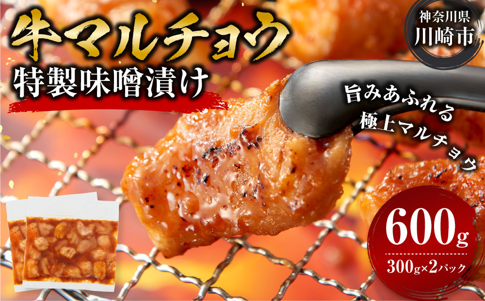 ＜訳アリ＞牛マルチョウ　特製味噌漬け　0.6kg(300g×2）【2026年3月発送】