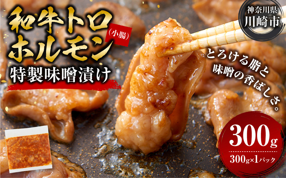 ＜訳アリ＞和牛トロホルモン　特製味噌漬け　0.3kg(300g×1）【2026年9月発送】