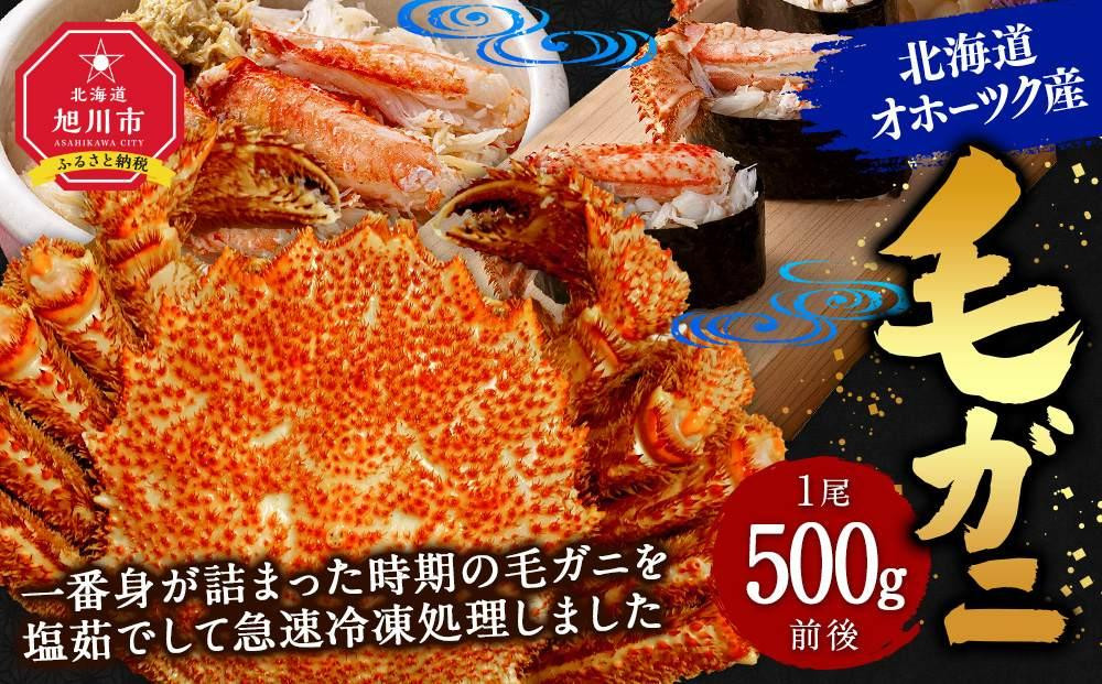 【12月25日～30日到着】北海道オホーツク産 毛ガニ 1尾（500g前後）_01191