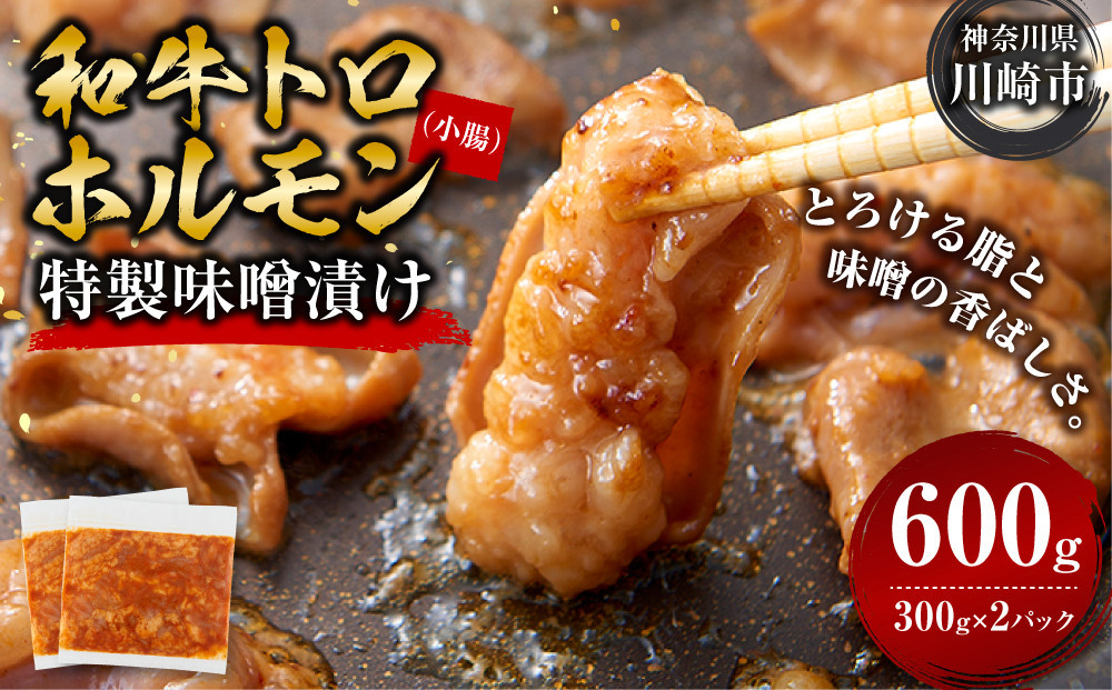 ＜訳アリ＞和牛トロホルモン　特製味噌漬け　0.6kg(300g×2）【2026年3月発送】