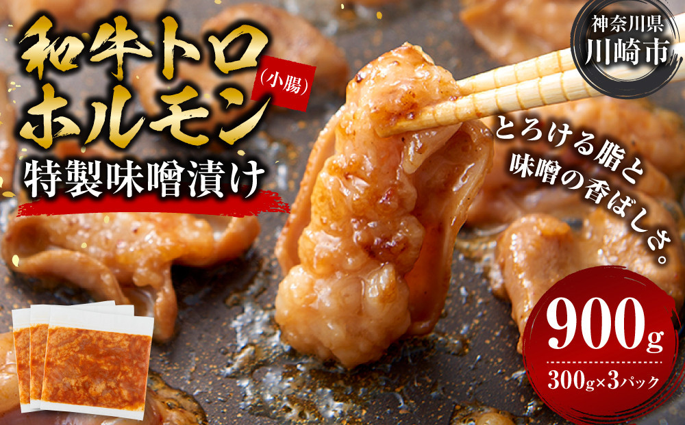 ＜訳アリ＞和牛トロホルモン　特製味噌漬け　0.9kg(300g×3）【2026年8月発送】