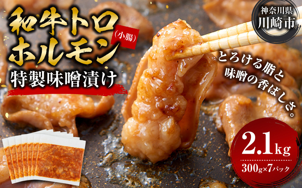 ＜訳アリ＞和牛トロホルモン　特製味噌漬け　2.1kg(300g×7）【2026年10月発送】