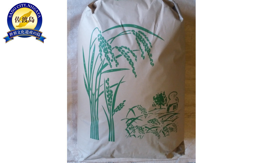 【令和7年度産】高島農場の農薬不使用ササニシキ30kg玄米