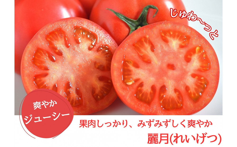 デリシャスファームのトマト(麗月)4キロ箱