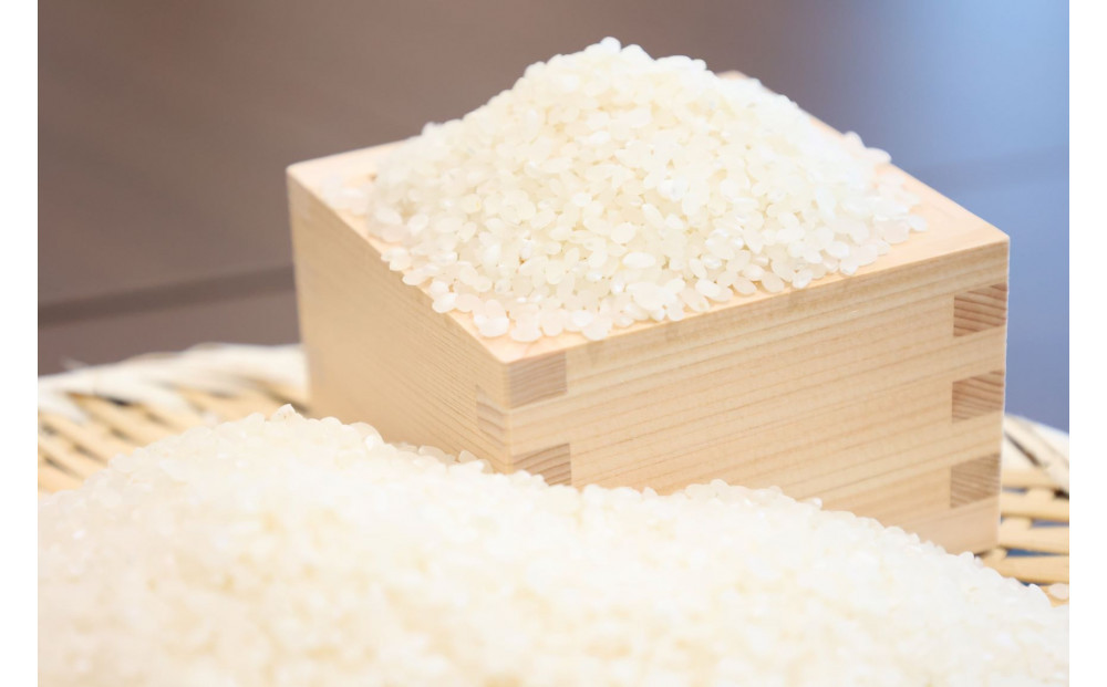 令和7年塙町産米コシヒカリ　5kg【令和3年度新嘗祭献穀者生産】